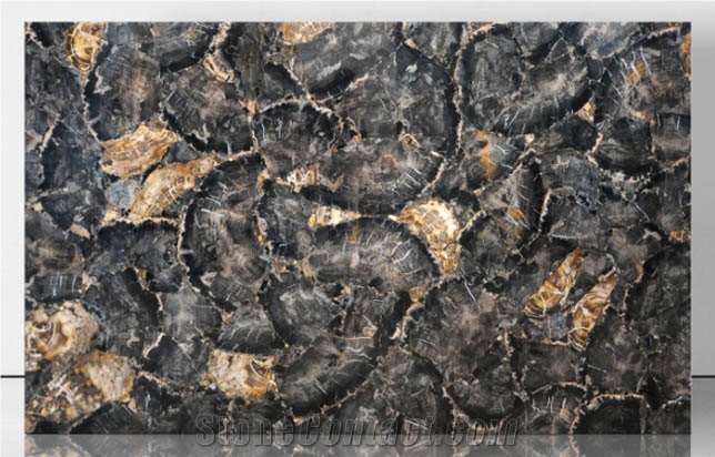 Black Petrified Wood Semiprecious Agate Stone