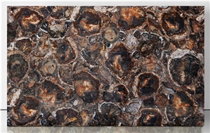 Natural Gemstone Wood Fossil Stone Petrified Wood