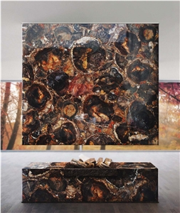 Semi Precious Brown Petrified Wood Gemstone Slabs