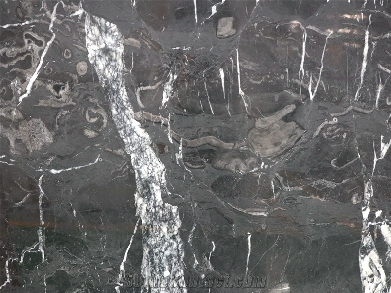 Dakara Marble Nero Dakara Black Marble Slabs&Tiles
