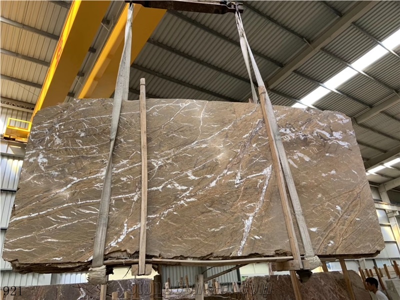 India Rainforest Brown Marble Slab Wall Floor Tile