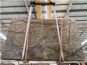 India Rainforest Brown Marble Slab Wall Floor Tile