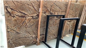 India Rainforest Brown Marble Slab Wall Floor Tile