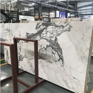 Italy Calacatta Marble Slab and Wall