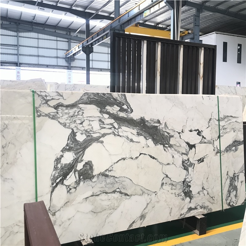 Italy Calacatta Marble Slab and Wall