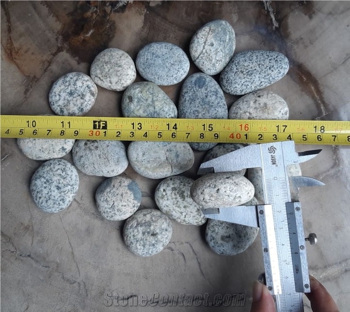 Blackspot / Speckled / Andesite Quail Egg Pebble
