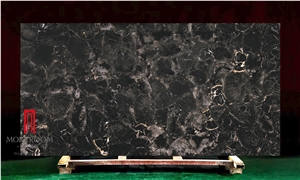 Fossil Wood Black Petrified Wood Slab for Table Top