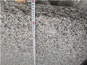 G439 Granite, Big Flower Granite Slabs G439 Granite, Big Flower Granite Slabs