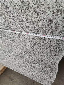 G439 Granite, Big Flower Granite Slabs