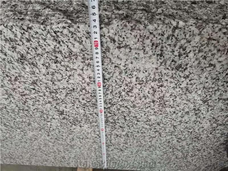 G439 Granite, Big Flower Granite Slabs