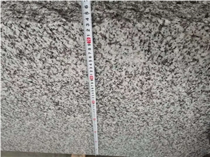 G439 Granite, Big Flower Granite Slabs