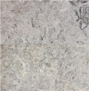 Saro Gray Marble Slab and Tile, Brezza Marble