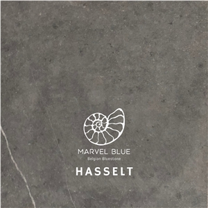 Marvel Blue Hasselt / Belgian Bluestone