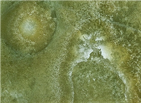 Turkey Green Onyx Slabs & Tiles