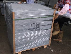 China New G654 Granite Tile for Pool Pavers/Coping
