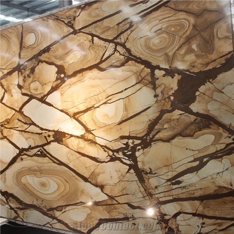 Carpe Diem Spider Quartzite Slabs