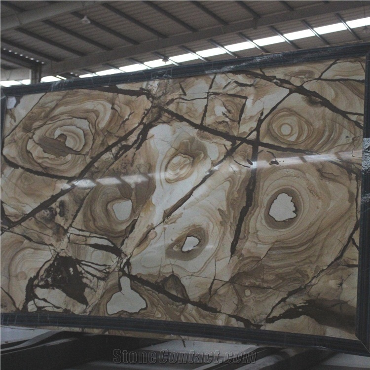 Carpe Diem Spider Quartzite Slabs