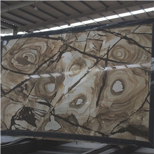 Carpe Diem Spider Quartzite Slabs