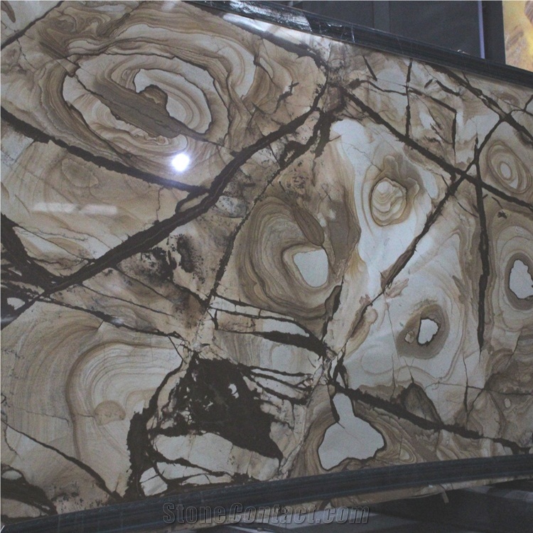 Carpe Diem Spider Quartzite Slabs