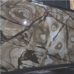 Golden Butterfly Quartzite Slabs