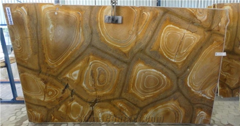 Palomino Quartzite Slabs