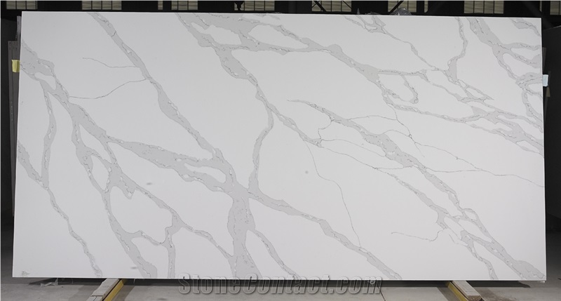 Polished Quartz Slabs