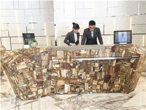 Factory Price Petrified Wood Slab For Sale