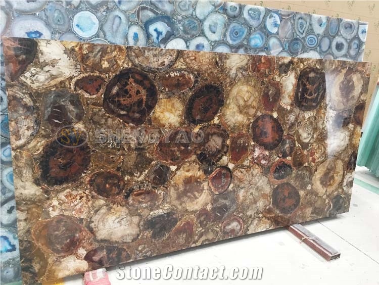 Natural Petrified Wood Stone Tile Wall Slab