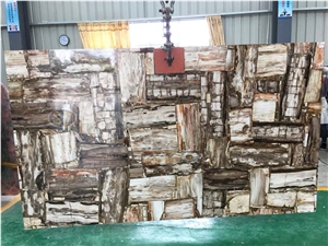 Natural Petrified Wood Stone Tile Wall Slab