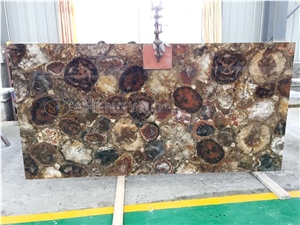 Natural Petrified Wood Stone Tile Wall Slab