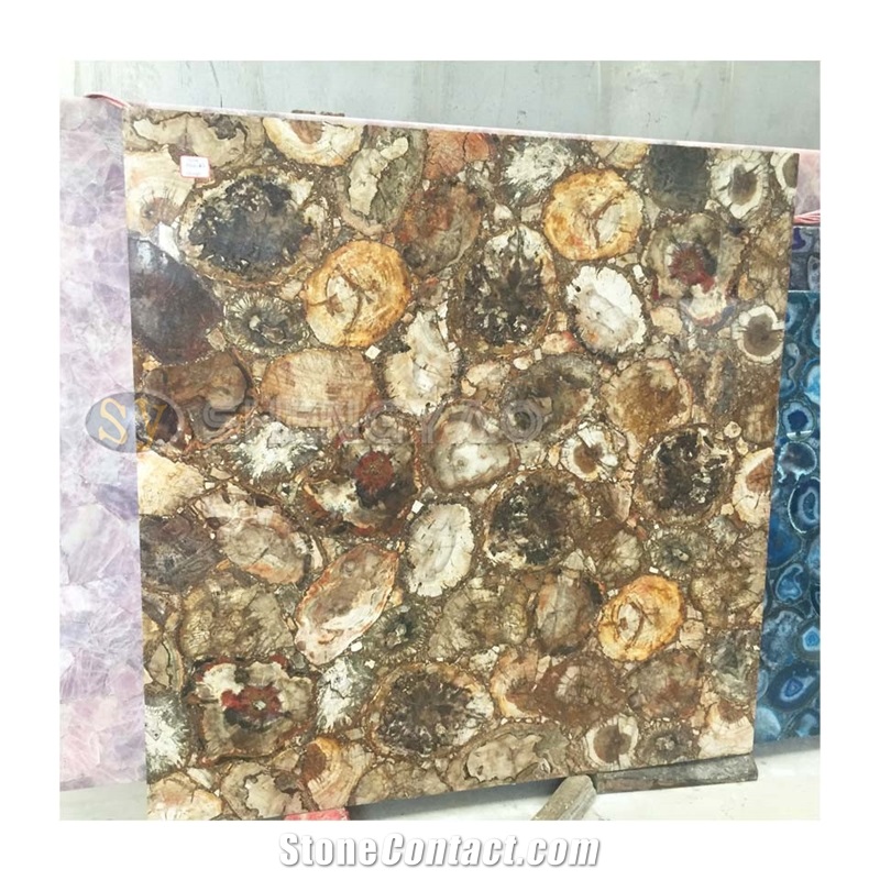 Natural Petrified Wood Stone Tile Wall Slab