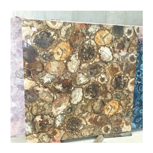 Natural Petrified Wood Stone Tile Wall Slab