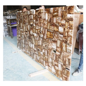 Polished Petrified Wood Tile And Slabs