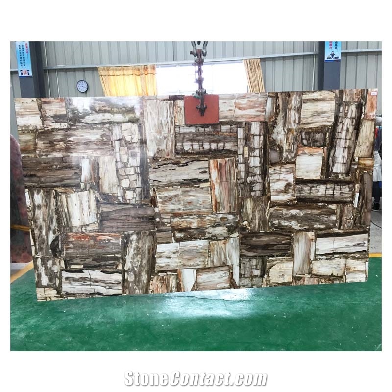Polished Petrified Wood Tile And Slabs