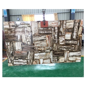 Polished Petrified Wood Tile And Slabs