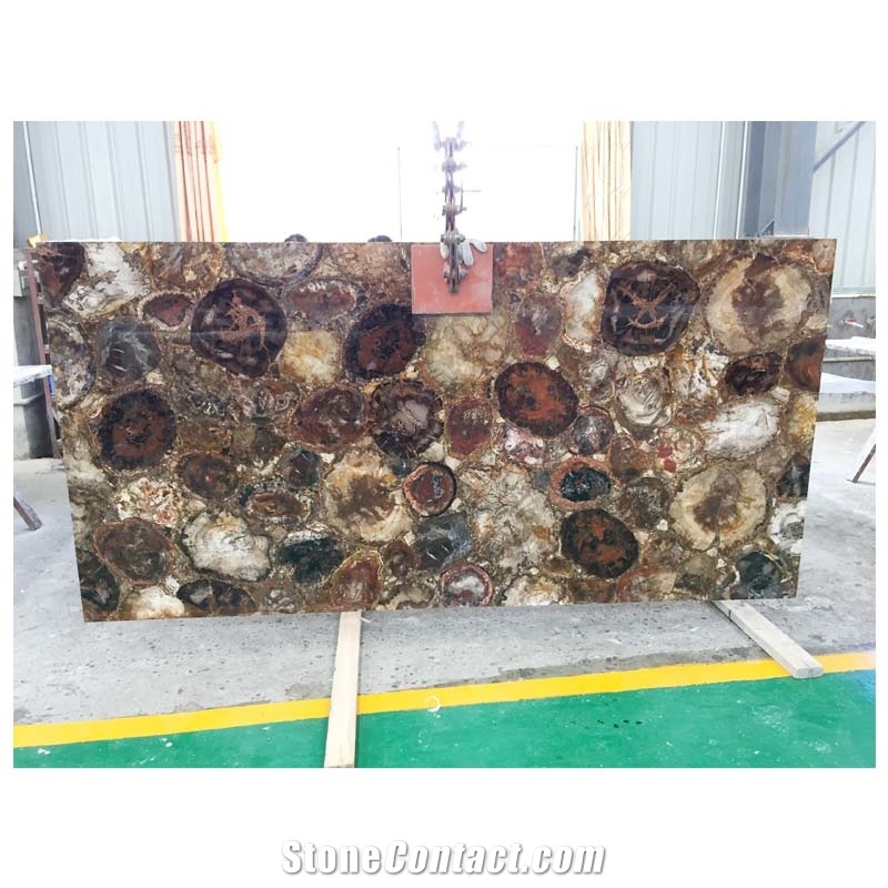 Polished Petrified Wood Tile And Slabs