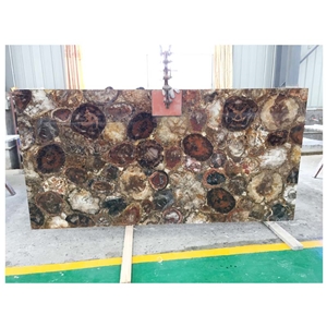 Polished Petrified Wood Tile And Slabs