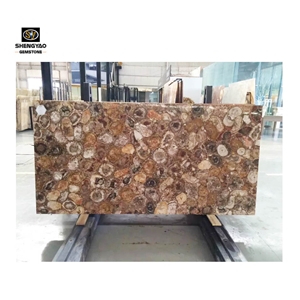 Polished Petrified Wood Tile And Slabs