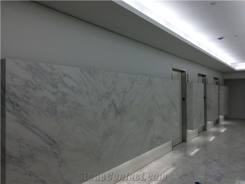 Carrara White Marble Wall Application