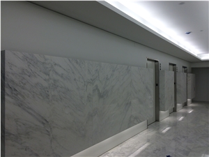 Carrara White Marble Wall Application