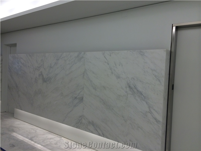 Carrara White Marble Wall Application