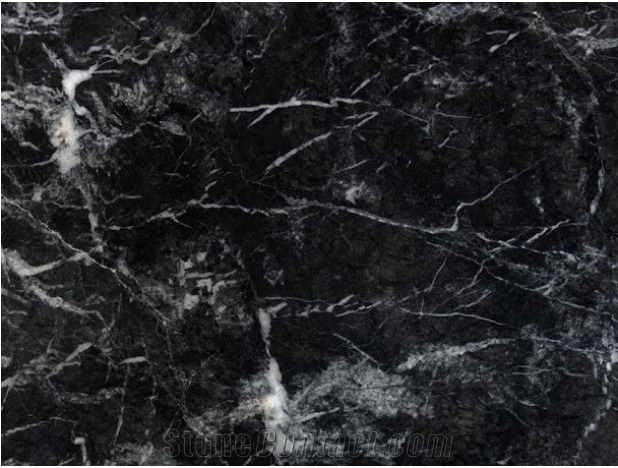 Grigio Carnico Marble Slabs
