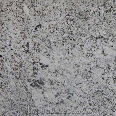 Antico Silver Granite Slabs