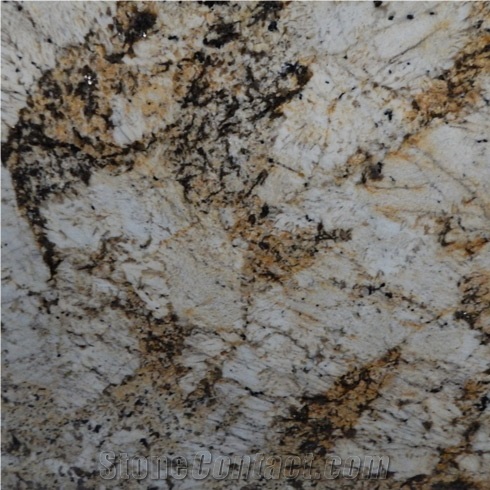 Crema Blandus Granite Slabs, Tiles