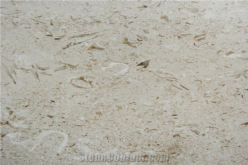 Shell Beige Limestone Tiles,Applestone,Myra Beige