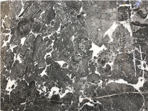 Rome Grey Marble Slabs & Tiles, China Guizhou