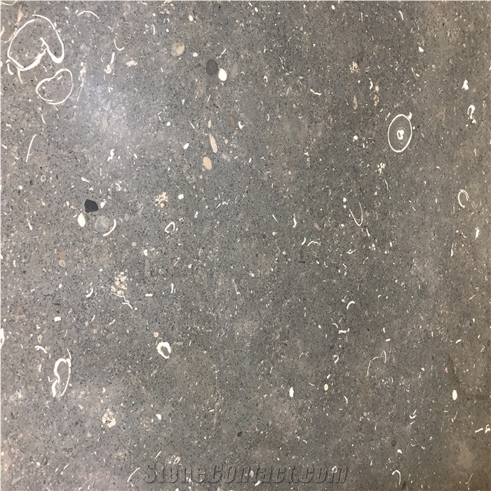 Tennessee Imperial Black Limestone Slab&Tile