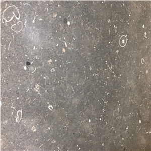 Tennessee Imperial Black Limestone Slab&Tile
