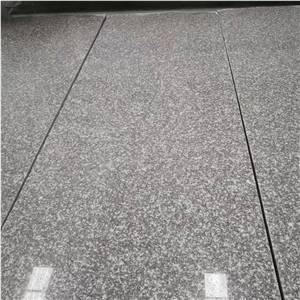 China Cheap Granite Tile, Own Factory G664 Slab
