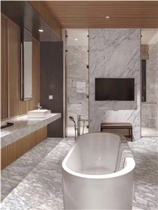Venata White/Stataurietto/ White Marble